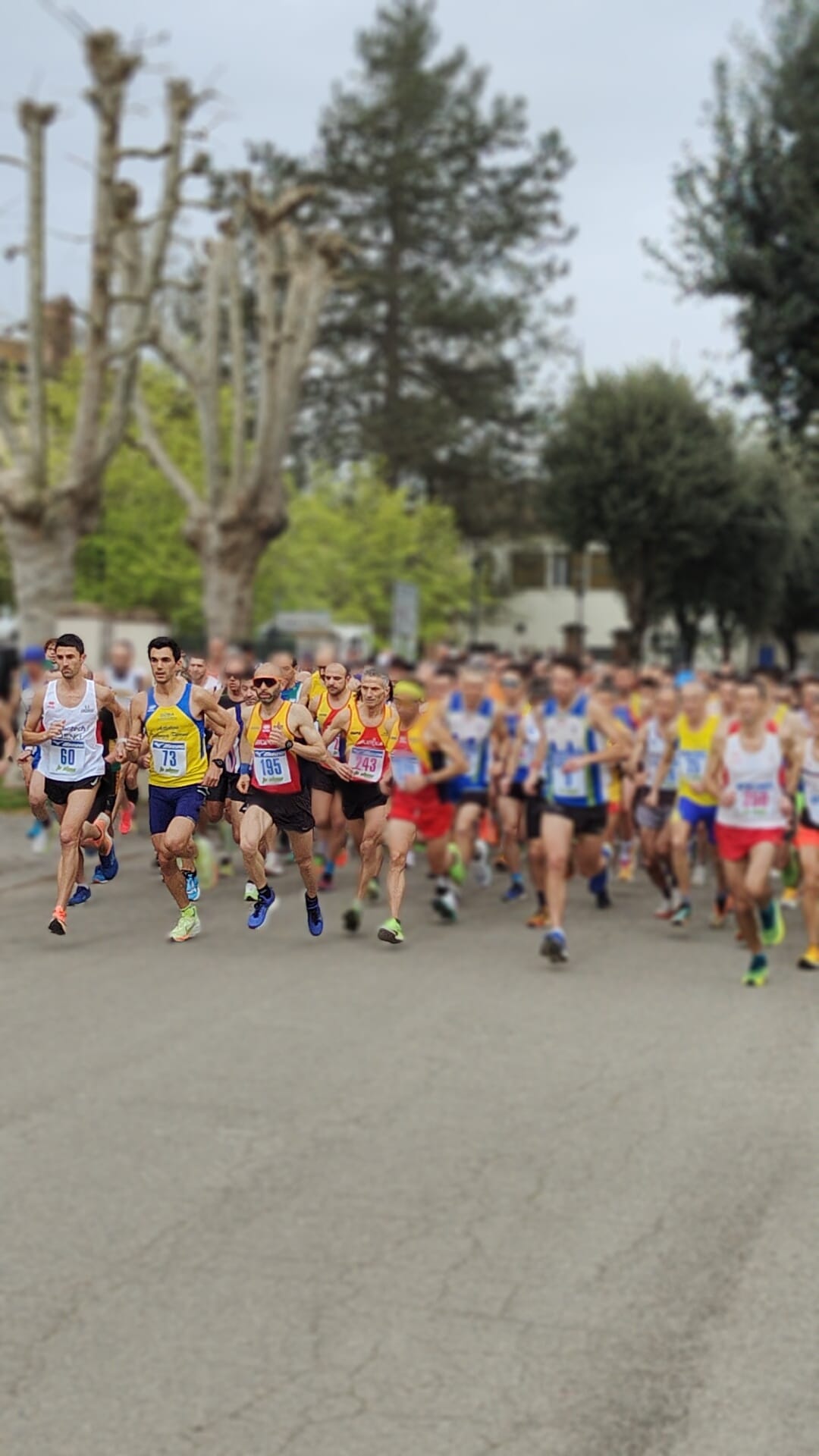 San Patrizio: Trofeo Buriani e Vaienti - 01 aprile 2024